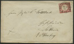 Dt. Reich 19XXXV BRIEF, 25.3.1875, 1 Gr. Rotkarmin (als 10 Pf.-Marke Verwendet) Mit Plattenfehler Punkt über E, Zen - Used Stamps