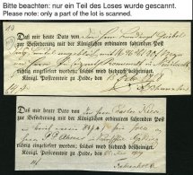 SCHLESWIG-HOLSTEIN HEIDE, 1809-83, Interessante Spezialsammlung Von 65 Postscheinen, Dabei Arge S.H.-Nr. 7, 10, 12, 13, - Prefilatelia