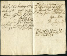 SCHLESWIG-HOLSTEIN - ALTBRIEFE 1735, Brief Aus Lunden, Pracht - [Voorlopers