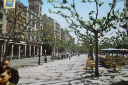 Logroño Espolon - La Rioja (Logrono)