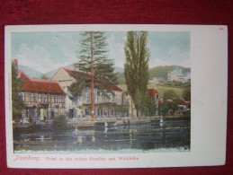 GERMANY / ILSENBURG / HOTEL FORELLEN UND WALDHÖHE / 1904 - Ilsenburg