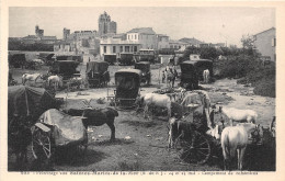 13-SAINTE-MARIE-DE-LA-MER- CAMPEMENT DE BOHEMIENS LE 24 ET 25 MAI - Saintes Maries De La Mer