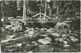 Höllental - Teufelssteg - Foto-Ansichtskarte - Verlag Hans Schmidt Lichtenberg - Naila