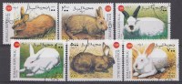 Animaux  Somali Rep. 1999 Oblitérés / Used / Gestempeld - Hasen