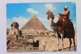 Tourist Guide On Camel Near The Great Sphinx / Grossen Sphinx / Grand Sphinx + Liban Stamps - Sfinge