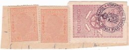 #154         POLITECHNIC UNIVERSITY OF TIMISOARA, , REVENUE STAMP, 100  LEI, FRAG.,  ROMANIA. - Fiscali