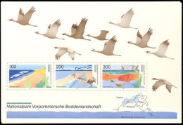 1996, Block-Ausgabe "Vorpommersche Boddenlandschaft", 10 Stück Postfrisch, Mi. 80.-, Katalog: Bl.36(10)... - Other & Unclassified