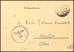 1944, Italiener In Der Wehrmacht, Benachrichtigungskarte Zur Zuteilung Der Feldpostnummer "80564" Mit Aptiertem... - Otros & Sin Clasificación