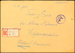 12 Pfg. (3) Und 6 Pfg. Hitler-Aufdruckausgabe Rückseitig Auf R-Brief Aus LAZDINI 19.XII.42 Mit Altem... - Otros & Sin Clasificación