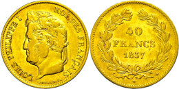 40 Francs, Gold, 1837, Louis Philippe I., Paris, Fb. 557, Kl. Rf., Kratzer, Ss.  Ss40 Franc, Gold, 1837, Louis... - Autres & Non Classés