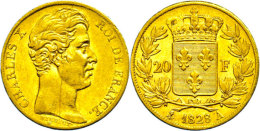 20 Francs, Gold, 1828, Karl X., Paris, Fb. 549, Kl. Rf., Kratzer, Ss.  Ss20 Franc, Gold, 1828, Karl X., Paris,... - Otros & Sin Clasificación