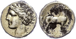 Karthago, Elektron Stater (7,53g), 310-270 V. Chr. Av: Kopf Der Tanit Nach Links. Rev: Stehendes Pferd Nach Rechts.... - Unclassified