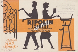 BUVARD PEINTURE - RIPOLIN Express Pour Tous Emplois - Peintures