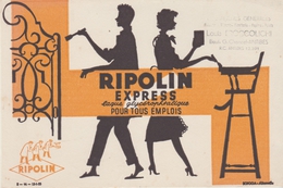 BUVARD PEINTURE - RIPOLIN Express Pour Tous Emplois - Paints