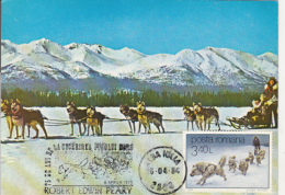 47869- ROBERT EDWIN PEARY ARCTIC EXPEDITION, DOGS, SLED, MAXIMUM CARD, 1984, ROMANIA - Expéditions Arctiques