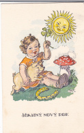 #BV2281 MUSHROOMS, SUN, KID, PIG, POSTCARD. - Mushrooms