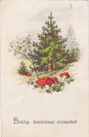 #BV2282   FIR, FOREST, MUSHROOMS,  POSTCARD. - Mushrooms