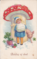 #BV2283   MUSHROOMS, KID, PIG, FLOWERS,  POSTCARD. - Mushrooms