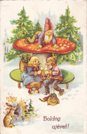 #BV2284    MUSHROOMS,  RABBIT, DWARFS,   POSTCARD. - Paddestoelen