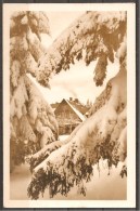 Delcampe - Oberhof, Thüringen - Oberhof