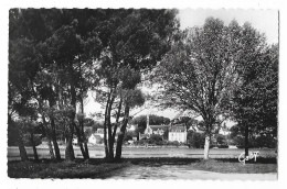 Cpsm: 29 LA FORET FOUESNANT (ar. Quimper) Vue Générale Prise De NESNEUR  N° 3 - La Forêt-Fouesnant