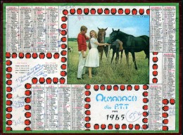 CALENDRIER GRAND FORMAT, 1965, ILLUSTRATION: CHEVAUX, SCANS RECTO ET VERSO - Big : 1961-70