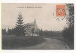 33979  -  Le  Château De  Roumont  Et  Les Abords - Libin