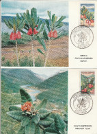 Nouméa 1964 - 2 Carte Maximum Fleurs Flowers Blumen - Maximum Cards