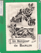 BONJOUR DE BARLIN MULTIVUES - Barlin