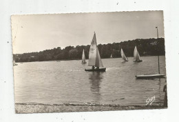Cp , 40 , CAPBRETON , Voiliers , Sports , Régates Au BOURET , Bateaux , Voyagée 1956 , Ed : Artaud , VOILE - Sailing