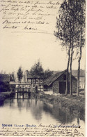 Haelen Halen Vieux Moulin 1903 - Halen