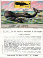 ! Chromo Italiana, Italienische Liebigbilderserie 418 Fischfang, Walfang, Whales, Balene, Poissons - Liebig