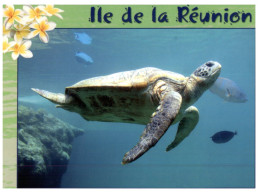 (ORL 270) France - La Réunion Island Tortoise - Tortue - Tortugas
