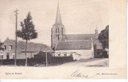 Eglise De Hechtel - Ph Mahieu-Smets - Hechtel-Eksel