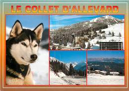 Delcampe - F-16 889 : LE COLLET D ALLEVARD - Allevard