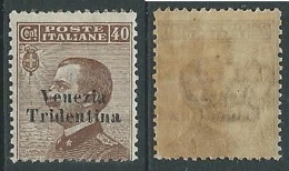 1918 TRENTINO ALTO ADIGE EFFIGIE 40 CENT GOMMA BICOLORE - P12-10 - Trentino