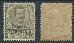 1918 TRENTINO ALTO ADIGE FLOREALE 45 CENT MH * - P12-2 - Trentino