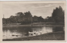 Germany - Grossenbrode - Oldenburg (Holstein)