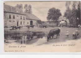 Environs D'Arlon - La Ferme De Birel - Arlon