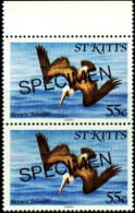 WATERBIRDS-BROWN PELICAN-SPECIMEN-PAIR-St KITTS-MNH-A2-476 - Pélicans