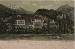 Weesen - Hotel Pension Mariahalden - Steindruck Litho - Gebr. Metz No. 25650 - Nach Sonceboz - Stein