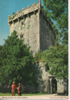 CP - PHOTO - BLARNEY CASTLE - CORK - JOHN HINDE - 2/380 - Otros & Sin Clasificación