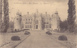 Vorsselaer - Het Kasteel - Le Château (Uitg. Célis) - Vosselaar