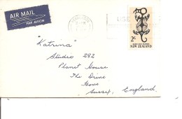 Nouvelle-Zélande ( Lettre Par Avion De 1966 De Henderson Vers La Grande-Bretagne à Voir) - Lettres & Documents