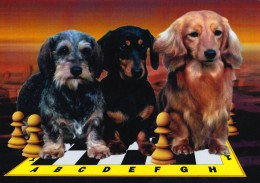 CHIEN / TECKEL Aux ÉCHECS / DOG At CHESS / SCHACH Und HUND - CAISSA / KECSKEMET (u-863) - Schach