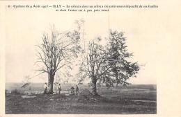 Illy        08       Cyclone De 1905 .  Arbres Dévastés - Autres & Non Classés