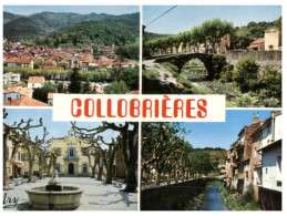 (M+S 320) France - Collobrières - Collobrieres