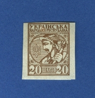 1918 N° 40 NON DENTELÉE  20 NEUF GOMME DOS CHARNIÈRE - Ukraine & West Ukraine