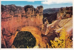 The Natural Bridge, Bryce Canyon National Park, Utah, Unused Postcard [18867] - Bryce Canyon