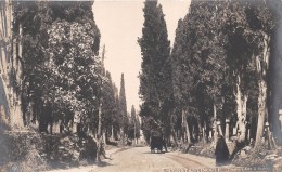 ¤¤  -   TURQUIE    -   CONSTANTINOPLE   -  Carte-Photo Du Cimetière Turc à Scutari    -   ¤¤ - Turquie